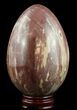 Colorful, Polished Petrified Wood Egg - Madagascar #51662-2